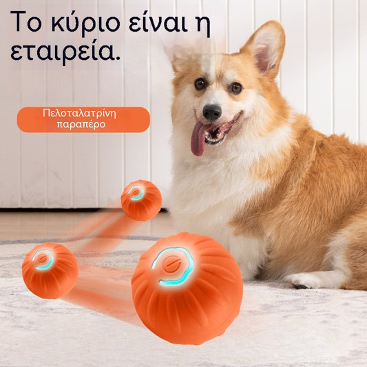 🐶🎁Έξυπνη διαδραστική μπάλα για κατοικίδια με φουσκωτά φτερά