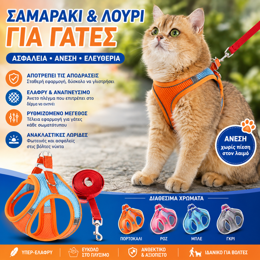 🐶🐱【Αγοράστε 1 και πάρτε 1 δωρεάν】✨Ανακλαστικό Ζώνη Ζωής για Κατοικίδια με Λουρί | Ασφαλέστερες Περιπάτους