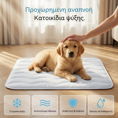 🐾 Επωφεληθείτε από έκπτωση 50% τώρα! ❄️ Αναπνέον και πλενόμενο στρώμα ψύξης για κατοικίδια – κρατήστε το κατοικίδιό σας δροσερό – απαραίτητο για το καλοκαίρι ☀️