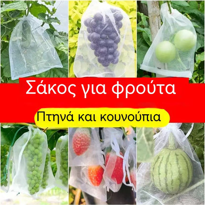 【50 σακούλες mesh (30x20 cm)】Δίχτυ για μύγες φρούτων, δίχτυ προστασίας δέντρων τοπίου για πουλιά, σακούλες κήπου για την προστασία λουλουδιών, φυτών, φρούτων, λαχανικών