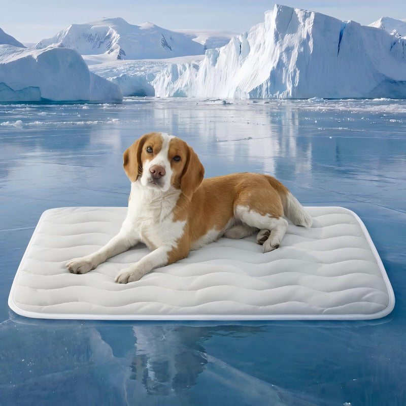 🐾 Επωφεληθείτε από έκπτωση 50% τώρα! ❄️ Αναπνέον και πλενόμενο στρώμα ψύξης για κατοικίδια – κρατήστε το κατοικίδιό σας δροσερό – απαραίτητο για το καλοκαίρι ☀️