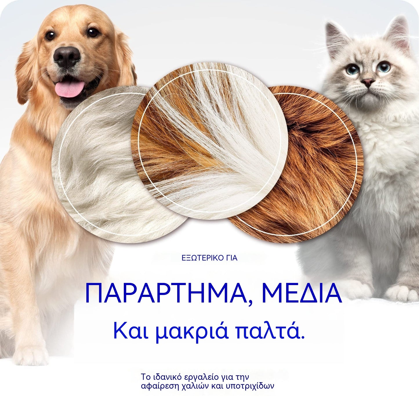 🐾 Επαγγελματικό εργαλείο για την αφαίρεση νεκρών τριχών από σκύλους και γάτες: απαλό, αποτελεσματικό και χωρίς τρίχες στο σπίτι ✨💖