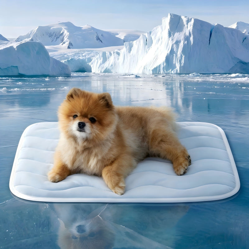 🐾 Επωφεληθείτε από έκπτωση 50% τώρα! ❄️ Αναπνέον και πλενόμενο στρώμα ψύξης για κατοικίδια – κρατήστε το κατοικίδιό σας δροσερό – απαραίτητο για το καλοκαίρι ☀️