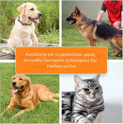 🐶🐱Επαγγελματικό εργαλείο για το ξεμπέρδεμα σκύλων και γατών