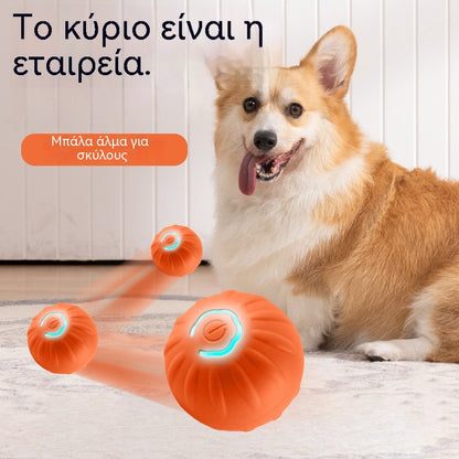 🐶2 είδη για 28 ευρώ🎁Έξυπνη διαδραστική μπάλα για κατοικίδια με φουσκωτά φτερά