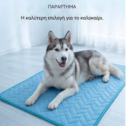 🧊🐶 Ψυκτικό στρώμα για σκύλους και γάτες – η ανακούφιση που χρειάζονται τα κατοικίδιά σας αυτό το καλοκαίρι 🐱✨