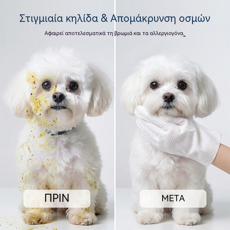 🧤🧼 【2 στοιχεία】 ✨ Γάντια καθαρισμού μίας χρήσης χωρίς νερό για κατοικίδια – Γρήγορος και απαλός καθαρισμός🐶🐱