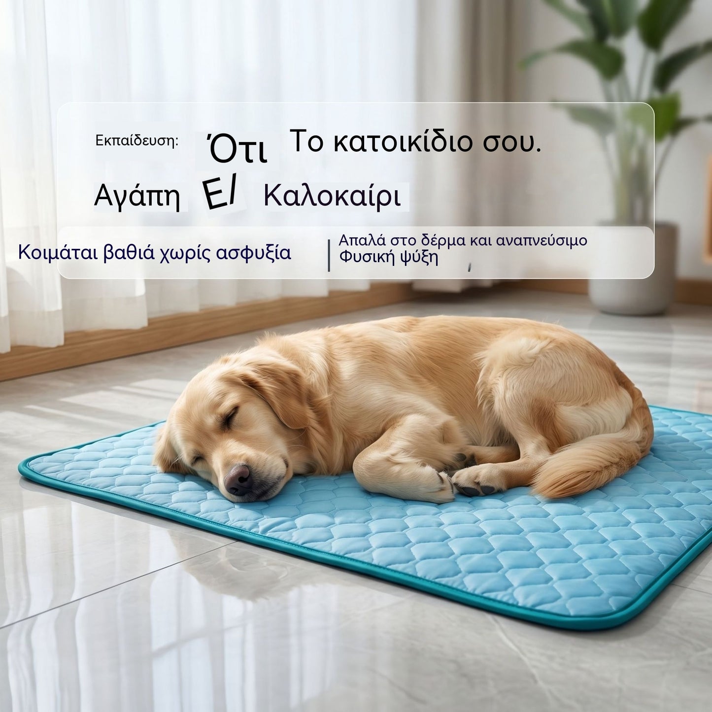 🧊🐶 Ψυκτικό στρώμα για σκύλους και γάτες – η ανακούφιση που χρειάζονται τα κατοικίδιά σας αυτό το καλοκαίρι 🐱✨